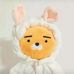 아 ㅁㅊ 별<b>코치</b> 별로임?
