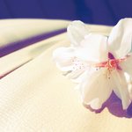 [드루와] 시험잘보세요!