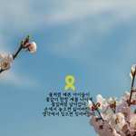 체험갔다가 세월호사건 실감났달까..?ㅠㅠ