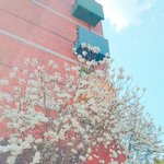 [댓글부탁해] <b>팔뚝</b>살 빼는방법조뮤ㅠㅠㅠㅠ