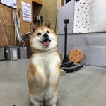 [19] 학교에서 <b>성욕</b><b>폭발</b>할때 어캄