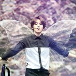 [백현] 나비<b>소년</b>