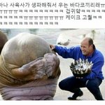 [댓글부탁해] 하나만 골라봐