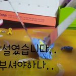 [개깊은빡침] 세월호 노란<b>리본</b> 자르고 뭉개고 바다색 클레이에 섞으면서...