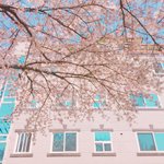 [조언부탁해] 앞머리 자르고 <b>시포</b> 시봉