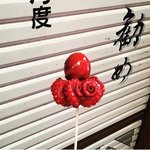 [EXO] 세훈과 <b>교토</b>여행을 함께 한...