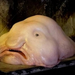 [EXO] 똥반죽 백혐 닮은 꼴.<b>jpg</b>