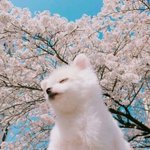 [10대의성] 여친한테 <b>속옷</b>선물 에바야?