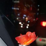 [<b>디퓨져</b>] <b>디퓨저</b>ㅜㅜㅜㅜㅜㅜㅜ