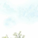 [EXO] 공지박아) <b>청정</b>구역 엑소톡입니다