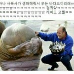 [세훈] 내 맘이 널 놓치기 전에