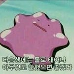 [드루와] <b>판</b>녀 <b>판남</b> 비율 알아보자