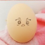[시우민] 이거봄? 시우민 <b>달걀</b>