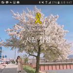 [드루와] 스쉐 얘 미쳤나봐ㅋㅋㅋㅋㅋㅋㄱㅋ