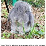 [EXO] 존웃 뭐든지 뜯어먹는 레이 ㅅㅂㅋㅋㅋㅋ