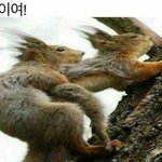 [EXO] 이거 합성임 ㄹㅇ임;; <b>다람쥐</b>들 ㄹㅇ 떡 이래 치나