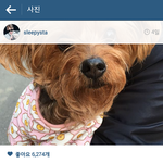 [BAP] <b>슬리피</b> ㄹ인스타 댓글에