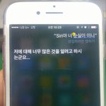 아이폰의. .<b>실세</b>가 밝혀졌네요.;;;