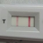 임신일까요? (추가)