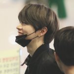 [NCT] 요즘 ㅇㄱㄹ 왜케많아