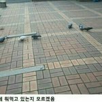 [댓글부탁해] 애들이 은근 싫어하는 음식있어??