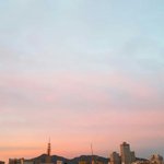 20살되면 젤하고싶은거뭐야!