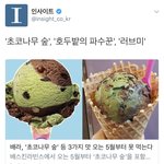 [시우민] 민석이가 좋아하는 초코나무숲 <b>단종</b>?