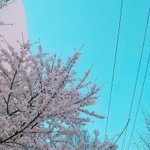 탑배<b>우랑</b> 탑아이돌중에서 누가 돈 더 잘범?