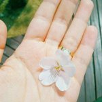 ㅅㅂ 나 지굼 여자친구 소원 <b>운동</b> <b>중임</b>