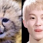 [NCT] 걱정과 고민은 수만이아버지에게