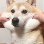 노래 제목 아는사람ㅠㅠㅜ