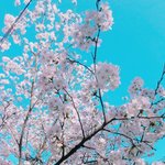 [댓글부탁해] 나 고백해도 될까?