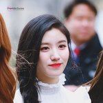 박시연