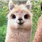 [10대의성] 탐폰하고 수영장가는게 <b>민폐</b>야?