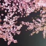 [댓글부탁해] 틴트밤? 이런 거 추천 좀❤️