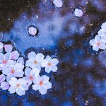 [EXO] 진짜 너무 <b>죄송</b>하다