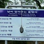 얘들아 나 대통령될꺼니까