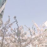 중2드로와바 역사 빡공시대 보람쌤 인강ㅜ