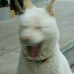 ㄹㅇ 프로듀스101 투표창 개같이 만들어놈 <b>엠넷</b>ㅌ창년들ㄹ;;;;