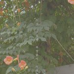 그냥 제 이야기 좀 들어주세요.