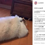 <b>안지영</b>과의 열애설에 크러쉬반응
