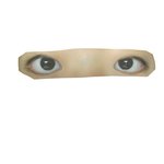 [조언부탁해] 내 눈 어때? 쌍수할까?