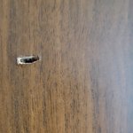 [꼭조언부탁] <b>칼로</b> 문 내리찍고 죽여버린다는 동생 정상인가요?