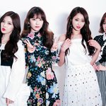 올해는 떠서 꽃길만 걸었으면 하는 아이돌(데뷔순주의)