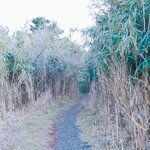 오르막길일까? <b>내리</b>막길일까?