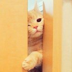 [조언부탁해] 중간<b>고사</b> 다들