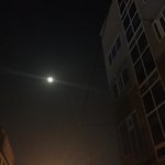 [드루와] <b>복숭아</b>꽃 배경화면 해뒀는데 남자한테 연락 옴