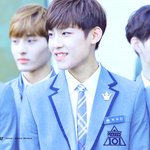 브랜뉴 박우진 파<b>세오</b>...