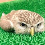 짝남 없는 사람~썸남 없는 사람~다 들어와봥...