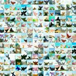 [방탄소년단] 애들 <b>방</b>.콕 입국할<b>때</b> 이벤트